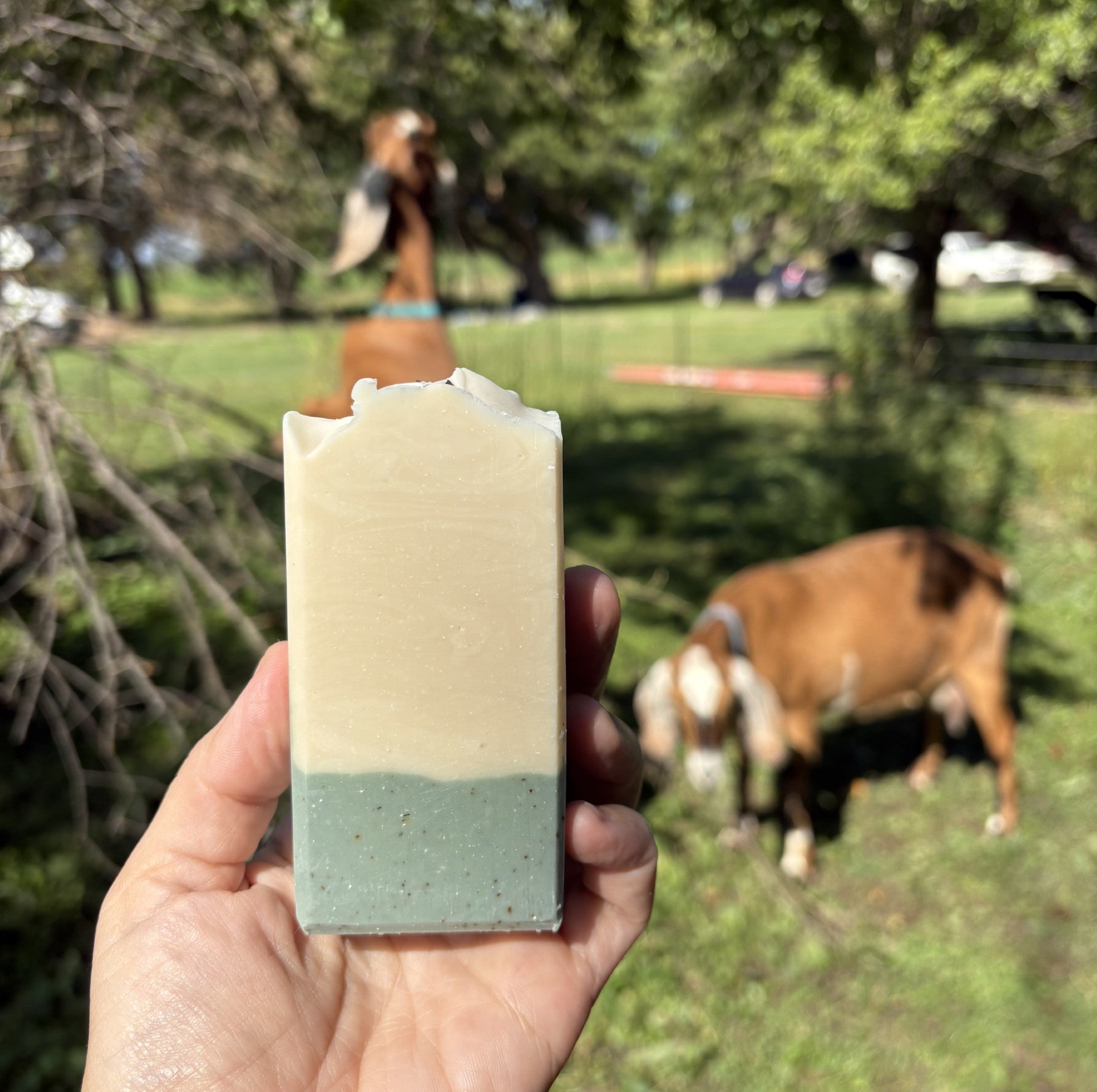 Bar of soap held in front of a blurred background with goats in a field